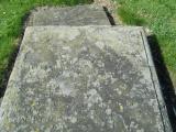 image of grave number 260007